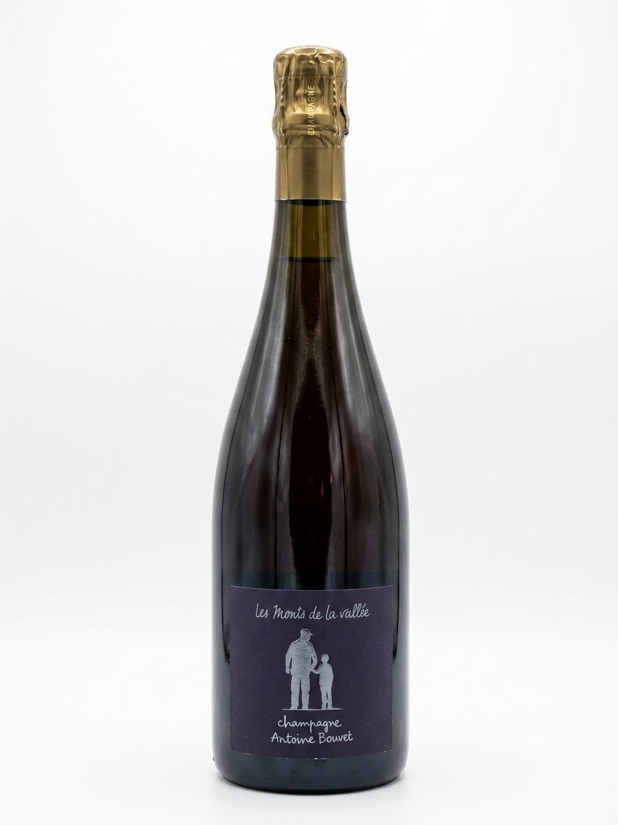 Champagne Antoine Bouvet - Les Monts de la Vallée Blanc de Noirs 2022
