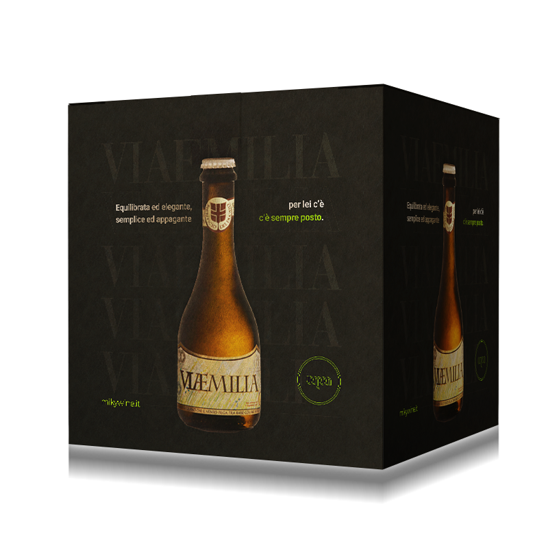 Birrificio del Ducato Viaemilia