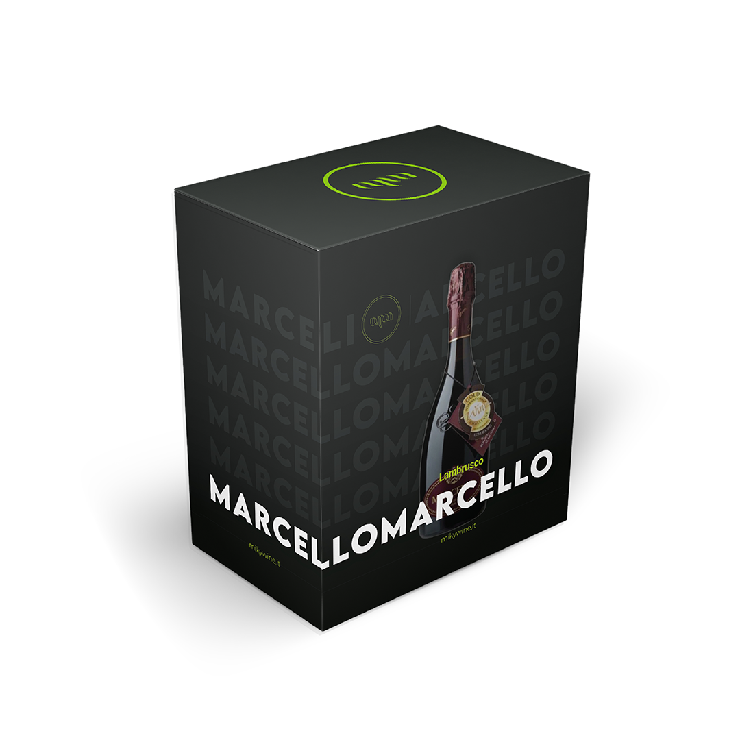 Lambrusco IGT Marcello Ariola