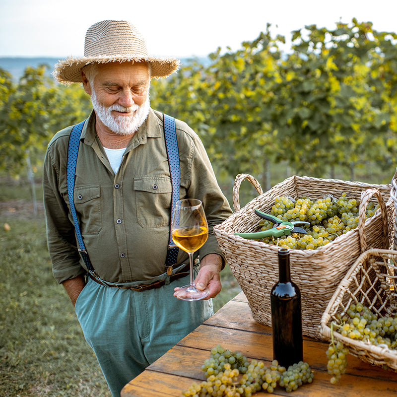 Giro del mondo in 80 vini - Tuscany Edition